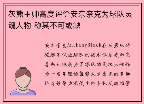 灰熊主帅高度评价安东奈克为球队灵魂人物 称其不可或缺