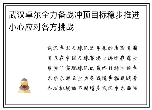 武汉卓尔全力备战冲顶目标稳步推进小心应对各方挑战