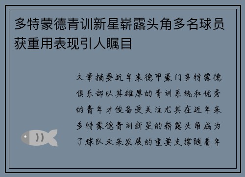 多特蒙德青训新星崭露头角多名球员获重用表现引人瞩目