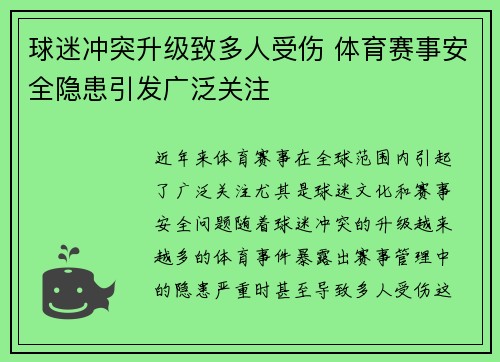球迷冲突升级致多人受伤 体育赛事安全隐患引发广泛关注
